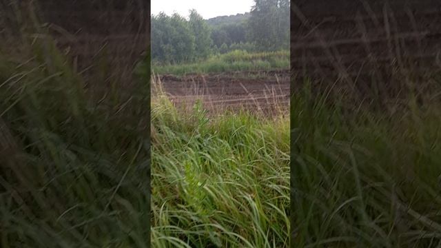 1000010997.mp4 смотреть онлайн