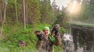 ДИКАЯ РЕКА ДАРИТ ТРОФЕИ. РЫБАЛКА НА ДЖИГ В ДЕБРЯХ. ЛЕСНАЯ РЕЧКА РАДУЕТ. ЗВЕРЬ ГОНИТ ПРОЧЬ ОТ РЕКИ