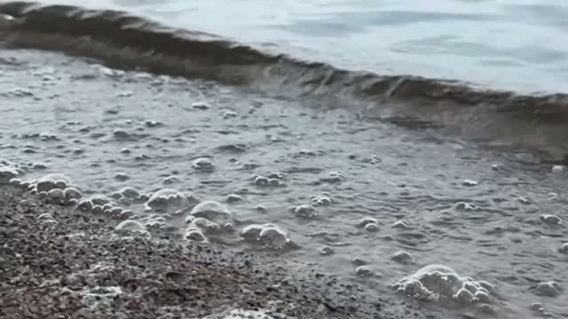 Фестиваль Роберта Рождественского.2025г. Песня "Необитаемые острова". смотреть онлайн