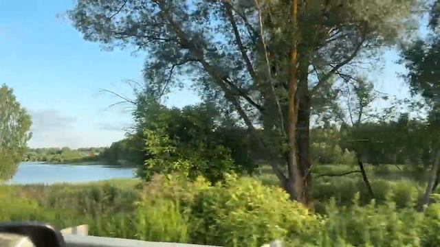 Это шок! Коровы разнесли ферму! Что произошло? смотреть онлайн