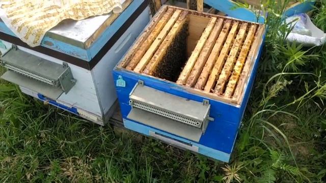 Расширение вощиной