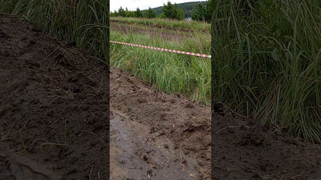 1000010981.mp4 смотреть онлайн