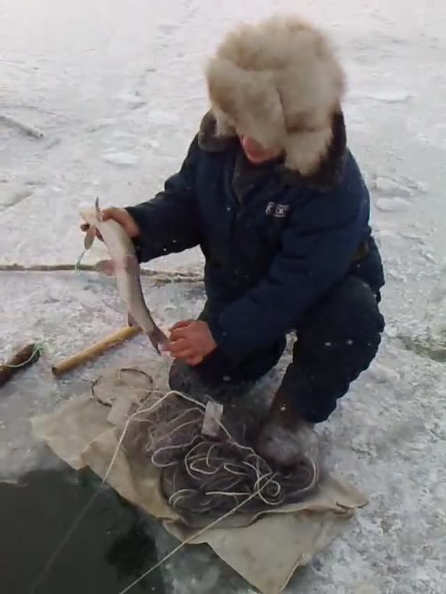 Вкуснятина