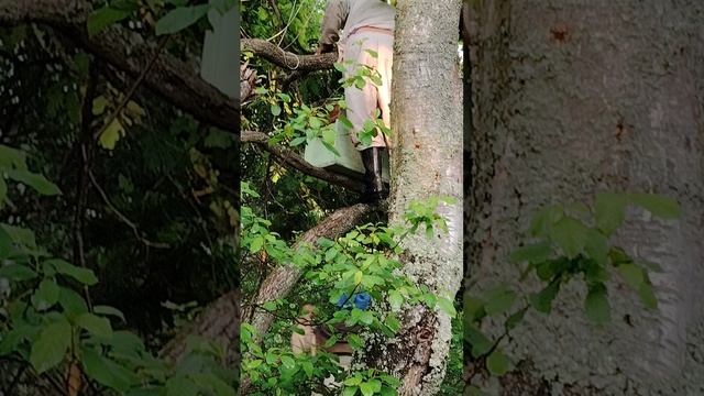 Стахановская работа