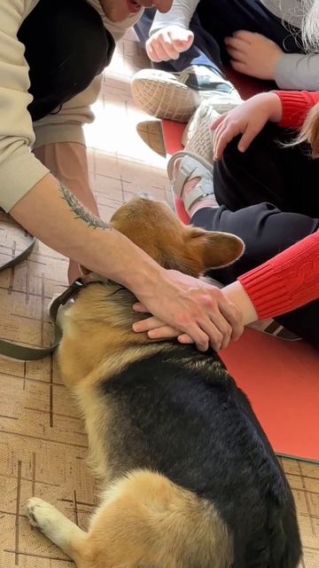 Хвостатый ангел