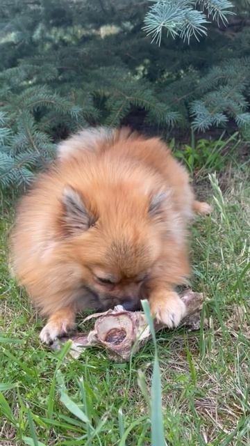 Мирася 😃😋🤣 смотреть онлайн