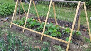 Огуречник из подручных материалов