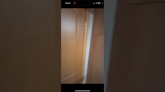 RPReplay_Final1750608348 смотреть онлайн