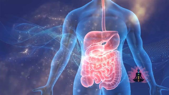 Вам подарок - Официальный единственный Архив Матриц 2025: скачать сейчас. С Летом Вас. Друзья! смотреть онлайн