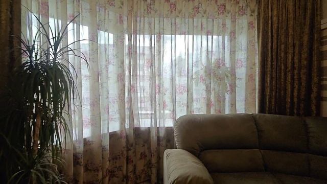 1000021765.mp4 смотреть онлайн