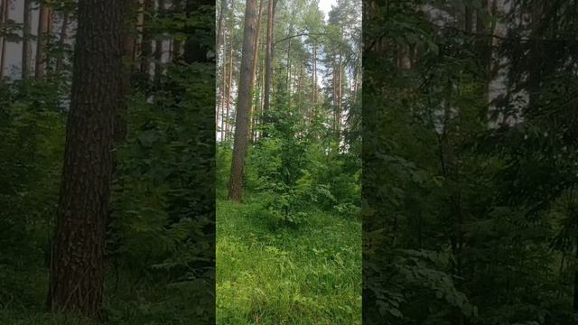 (47) Библия Евангелие от Иоанна глава 11 стих 25-36 смотреть онлайн