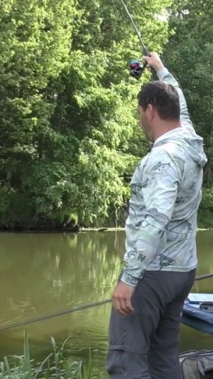 Трофейная рыба на фидер на реке!