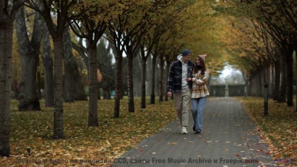 Музыка пробирает до мурашек вместе с этими кадрами - Bout De Toi -- Anemone -- Live at WFMU for Soph