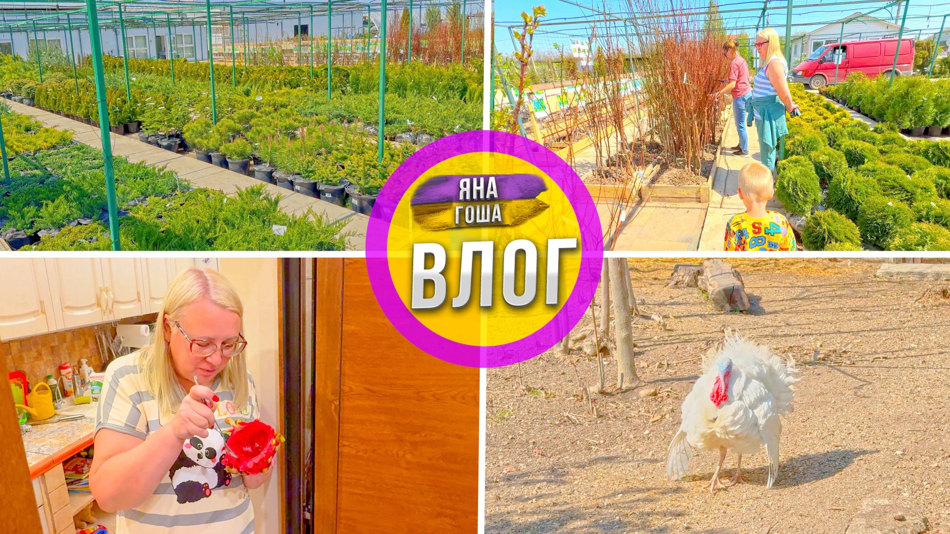 Питомник растений в Крыму УДИВИЛ ценами! Будем ли что-то покупать? Как там новый индюк? Драгонфрукт смотреть онлайн