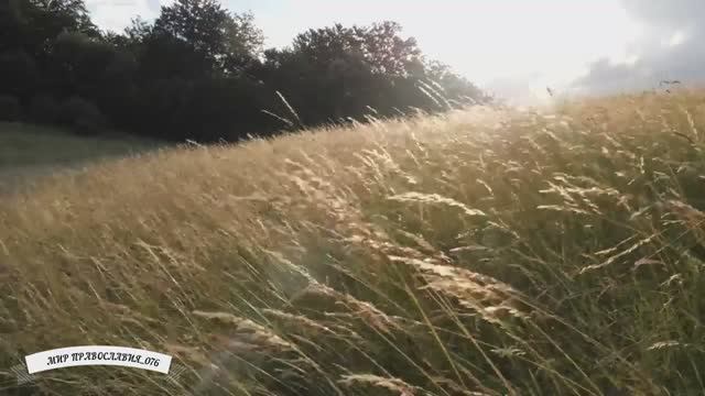 Начинай день с молитвы вместе с Оптиной смотреть онлайн