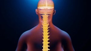 МАТРИЦЫ-ГАРЯЕВА.РФ АРХИВ: Матрица Гаряева для Шеи