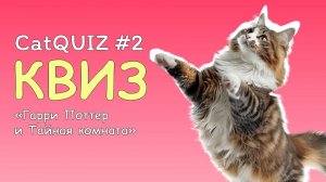 CatQUIZ #2 Гарри Поттер и Тайная комната | КВИЗ