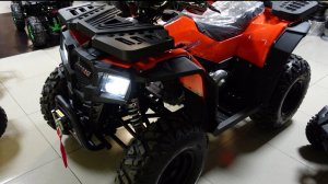 Квадроцикл PROGASSI RACE JUMPER. Обзор.