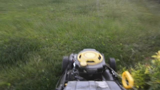 Покос травы! Газонокосилка | Тример | Бензиновый тример | Летом огород (часть 1)