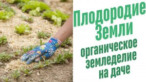 Органическое земледелие на даче.