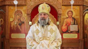 Проповедь Питирима (Творогова) в день праздника Всех святых, в земле Русской просиявших. 22.06.25.