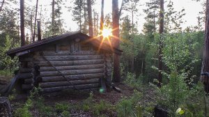 Ремонт крыши избушки. Медведь вылил весь бензин.