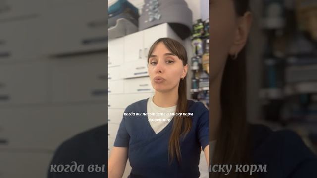 Ой! А моя кошечка и собачка перестали кушать