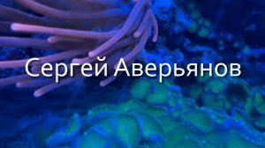 Сергей Аверьянов. Красивая инструментальная музыка