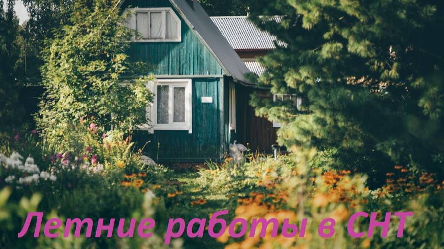 Летние работы в СНТ