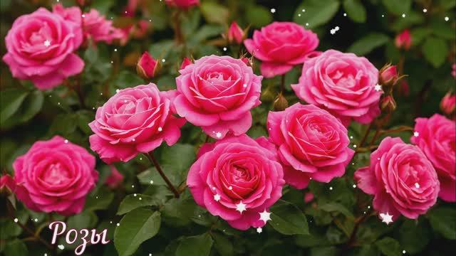 С Днём Рождения! Поздравление КЛАССНОЕ! Видео Открытка смотреть онлайн