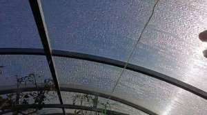 Крепление москитной сетки на дверь теплицы