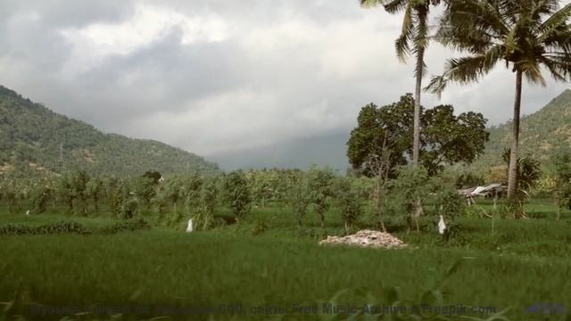 Эта мелодия взломает ваше восприятие - попробуйте на свой страх! - Montevideo -- Duncan Reid And The