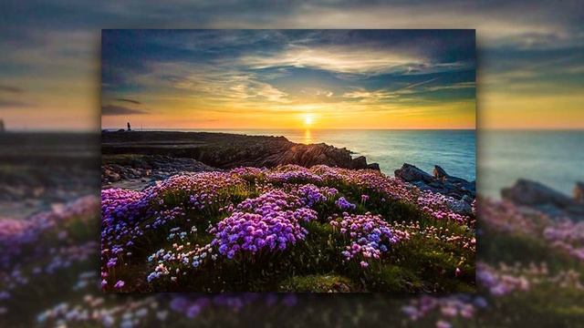 Jameson или Bushmills (2) russian смотреть онлайн