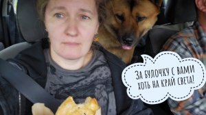 Вернулись с Псом Кубиком из Москвы. Сова филин Ёль чем-то недовольна