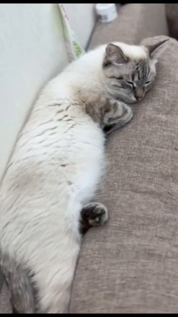 Без лишних слов - я прекрасен