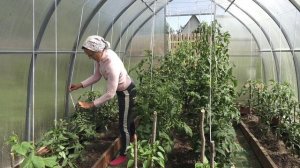 6 соток 21 июня 2025 года. 1 часть.