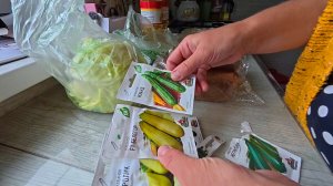 Выживает сильнейший. Досадила ещё кабачков. Домик у церкви Сельская жизнь