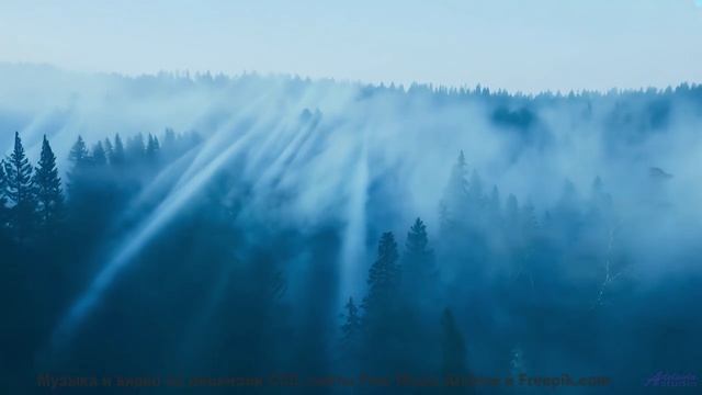 Леса звучат как музыка сердца вместе с этим треком - Horsey -- Overhill Ln -- OPULENT