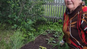 Навели красоту возле дома .