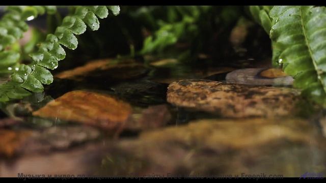 Звук, который слышат только избранные. - Play For Your People (music Hall Singalong) -- Keshco -- Fi