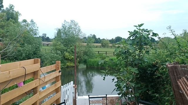 Милтон-Кинс, Англия (Milton Keynes, UK)