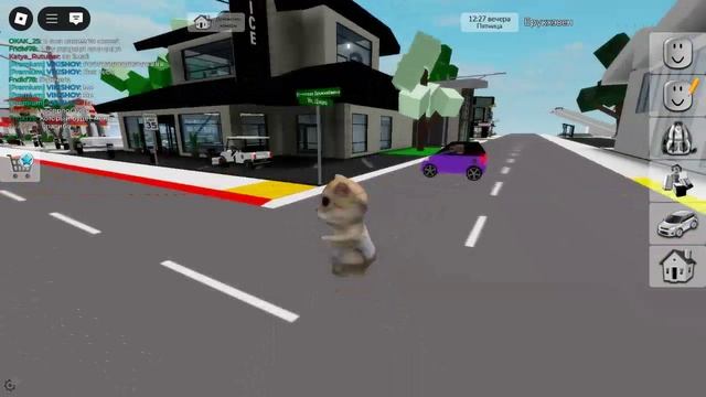 мой скин виде ель гато в брукхевене смотреть онлайн