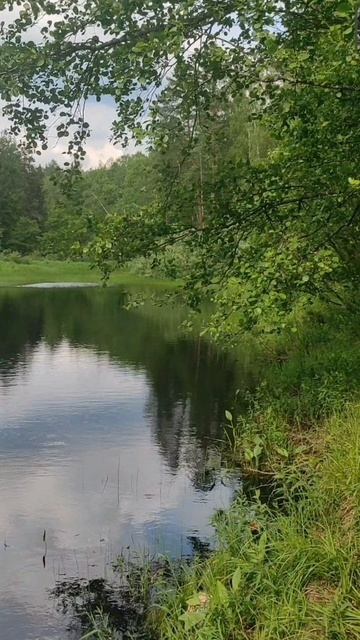 (46) Библия Евангелие от Иоанна глава 11 стих 12-25 смотреть онлайн