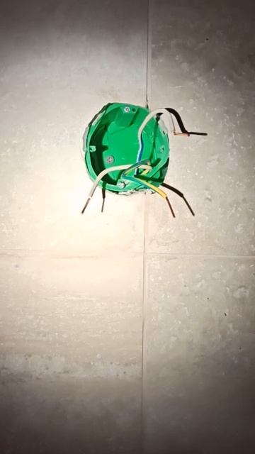 овальный квадрант