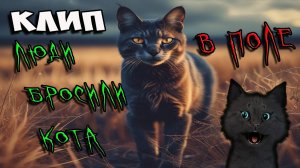 Бросили кота в поле умирать. 🐱 Музыкальный Клип 🐱 Супер Кота