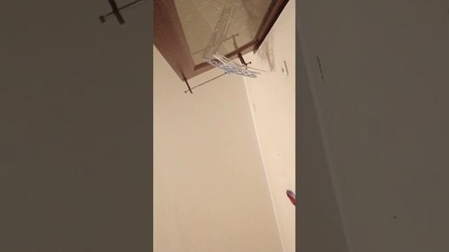 вллчд смотреть онлайн