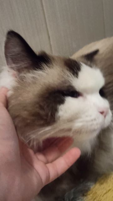 VID_20250622_140533.mp4