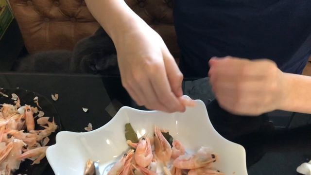 Кошка съела все креветки / Английский и физра на дистанционке / Влог смотреть онлайн