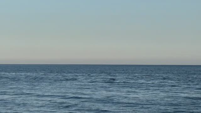 Влог #10 Воронцовский дворец , санаторий ай-Петри