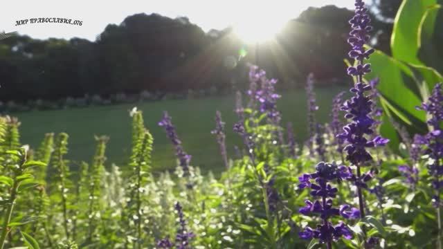 Молитва в унынии и отчаянии сущих смотреть онлайн